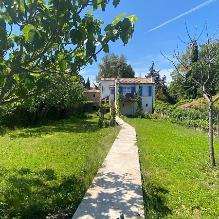 Petite Maison De Charme - Le Jardin Secret D'Alice Roquebrune-sur Argens Zewnętrze zdjęcie