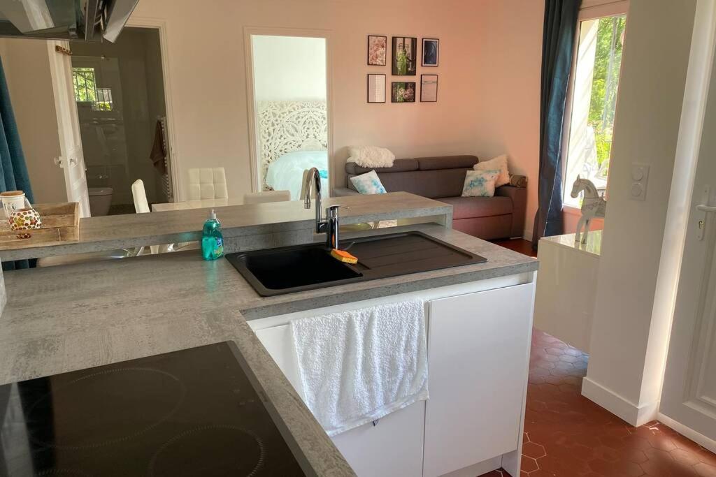Petite Maison De Charme - Le Jardin Secret D'Alice Roquebrune-sur Argens Zewnętrze zdjęcie
